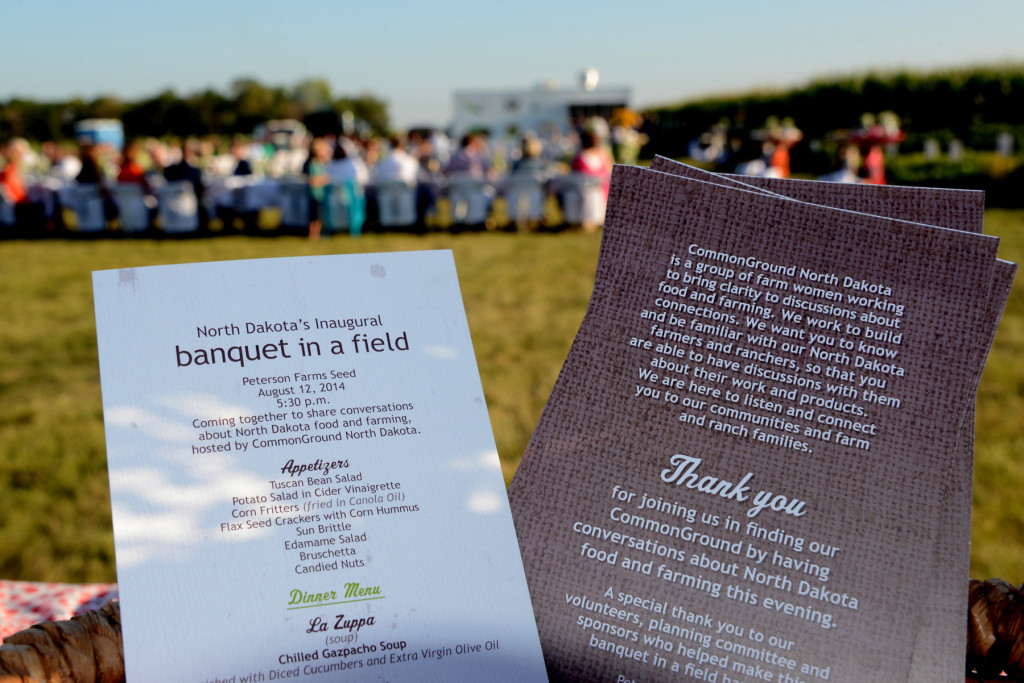 Banquet In A Field