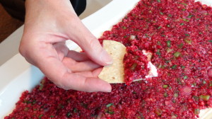 Cranberries Gone Wild dip with chip